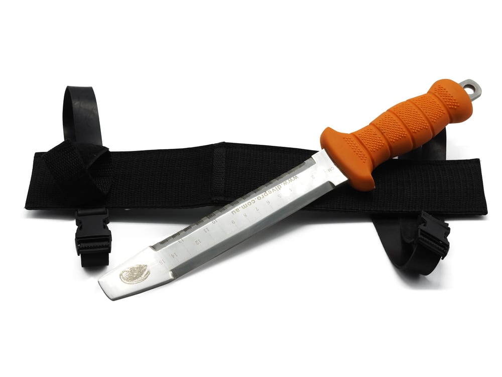 DivePRO Rustproof Steel Abalone Knife Shellfish Commercial Marine Grade Stainles